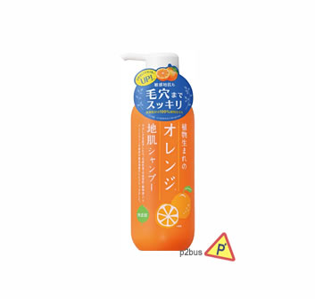 Ishizawa Lab 石澤研究所天然植物柑橘洗髮水