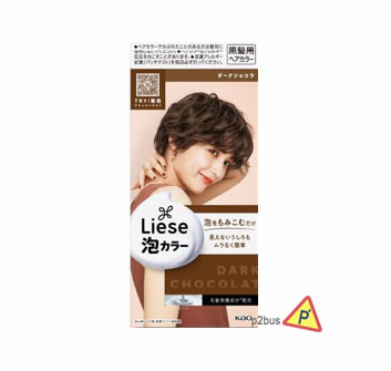 Liese 泡沫染髮膏 (深巧克力色)