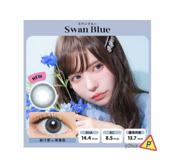 Angelcolor Bambi 日拋美瞳 (Swan Blue)